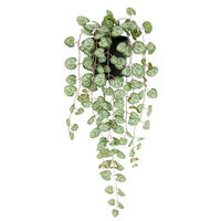 KUNSTPFLANZE 45 cm  - Grün, Basics (45cm)