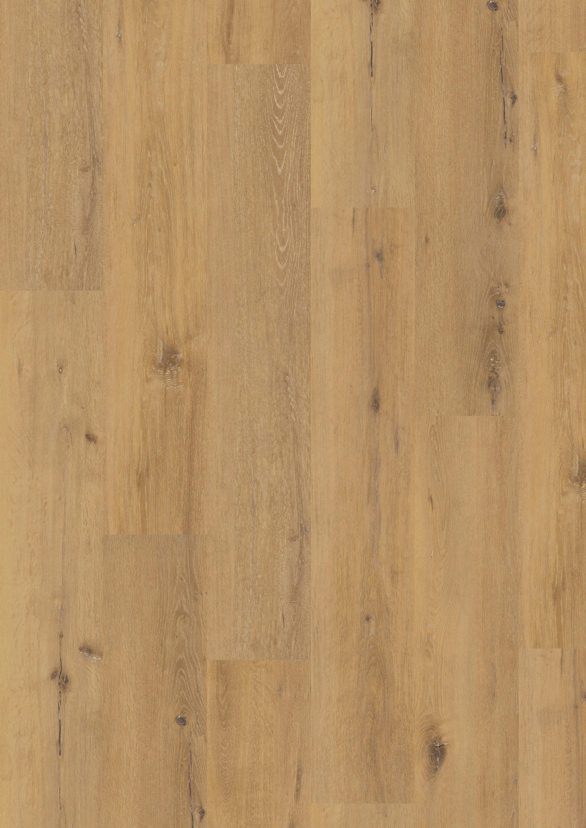 VINYLBODEN Novo Spa Eiche Sand 100053601  per  m² - Eichefarben, Design (122/22,5/0,5cm) - Tilo