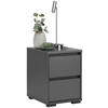 NACHTTISCH 40/55/48 cm  in Anthrazit  - Anthrazit, Design, Holzwerkstoff/Kunststoff (40/55/48cm) - Carryhome
