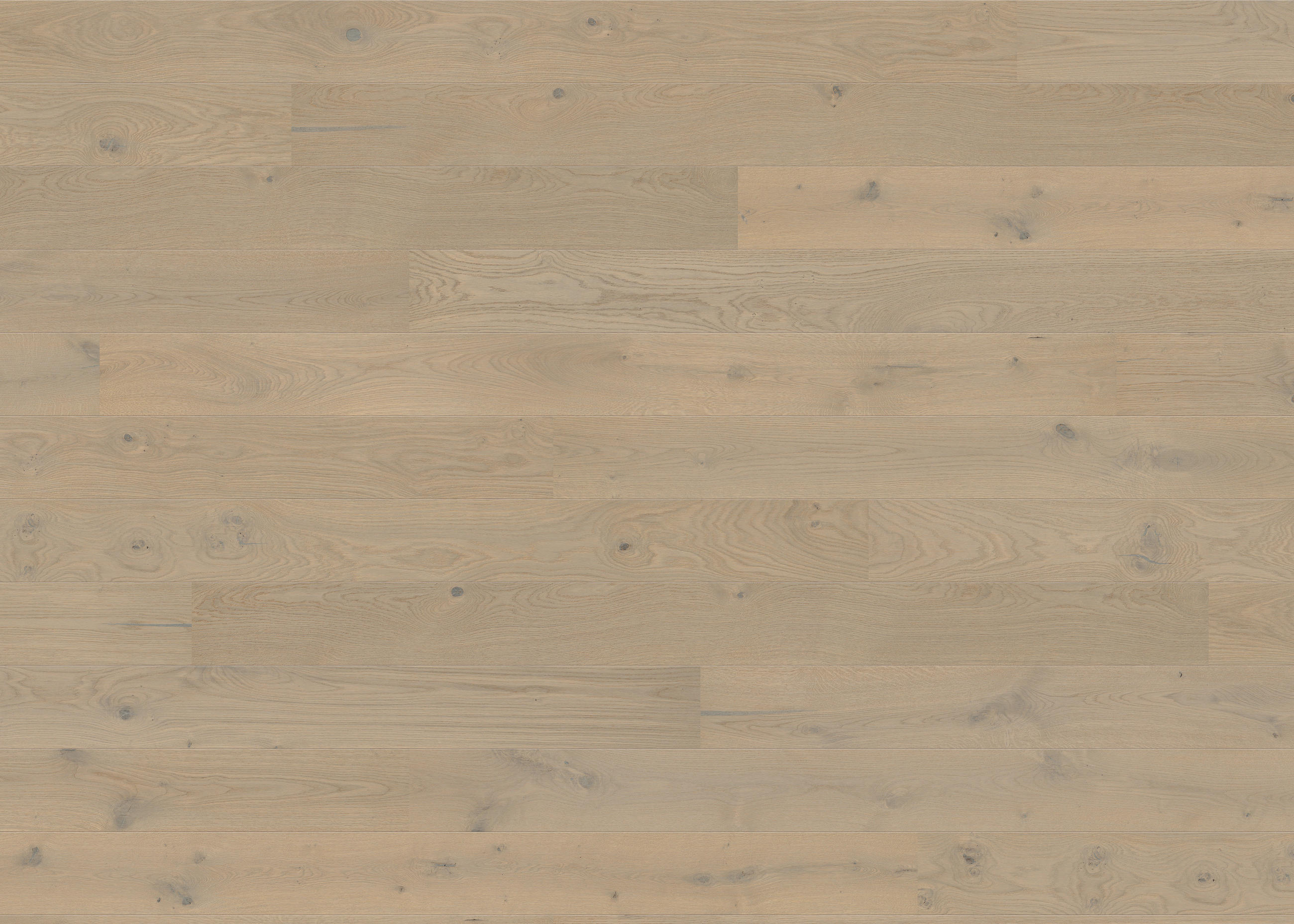 PARKETTBODEN Living by HARO PARKETT 2500 LA  per  m² - Hellgrau, Basics, Holzwerkstoff (18/220cm) - Living by HARO