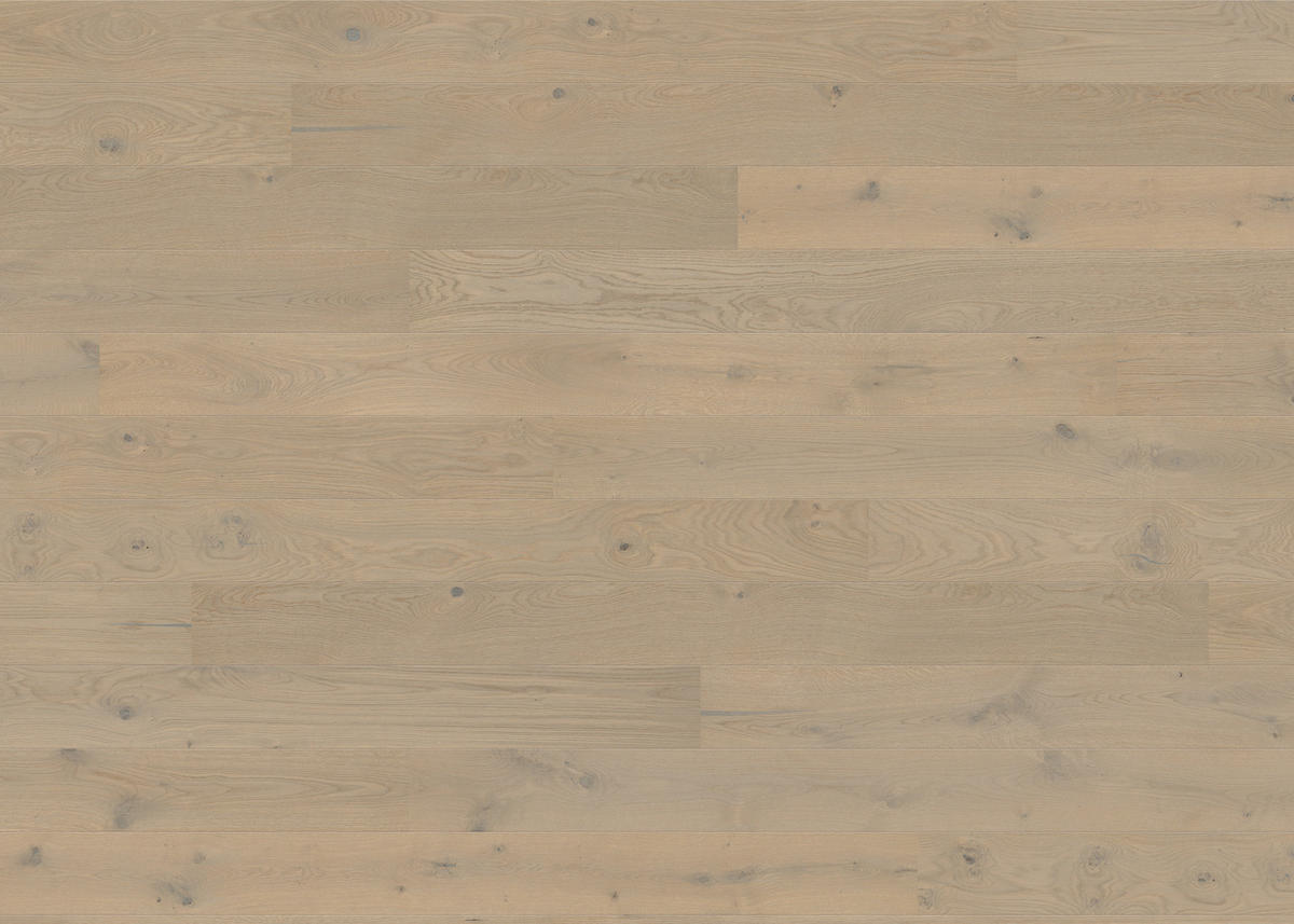 PARKETTBODEN Living by HARO PARKETT 2500 LA  per  m² - Hellgrau, Basics, Holzwerkstoff (18/220cm) - Living by HARO