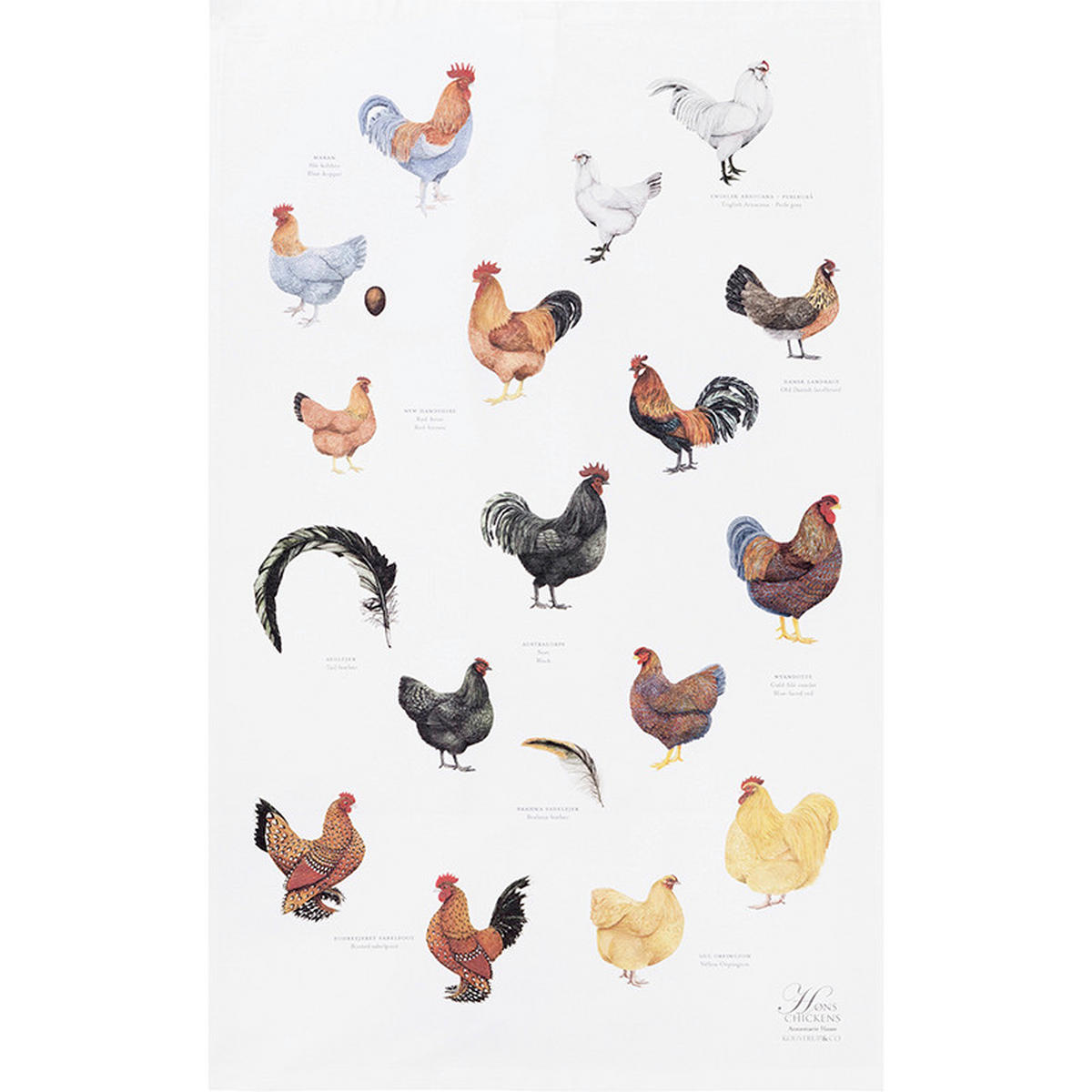 GESCHIRRTUCH-SET 3-teilig Multicolor  - Multicolor, Basics, Textil (50/70cm)