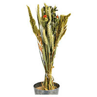 TROCKENBLUMENSTRAUß  - Beige/Orange, Basics, Naturmaterialien (60cm)
