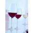 SKLENICE NA BURGUNDSKÉ - čiré, Konvenční, sklo (0,408l) - Schott Zwiesel SKLENICE NA BURGUNDSKÉ - čiré, Konvenční, sklo (0,408l) - Schott Zwiesel