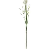 DEKORATIONSGRÄS - grön/cremefärgad, Basics, textil/plast (70cm)