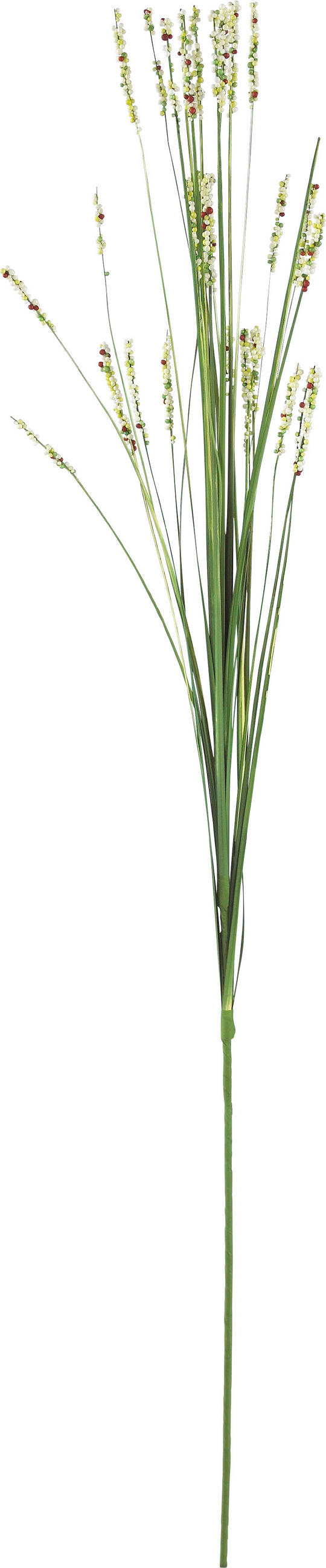 DEKORATIONSGRÄS - grön/cremefärgad, Basics, textil/plast (70cm)