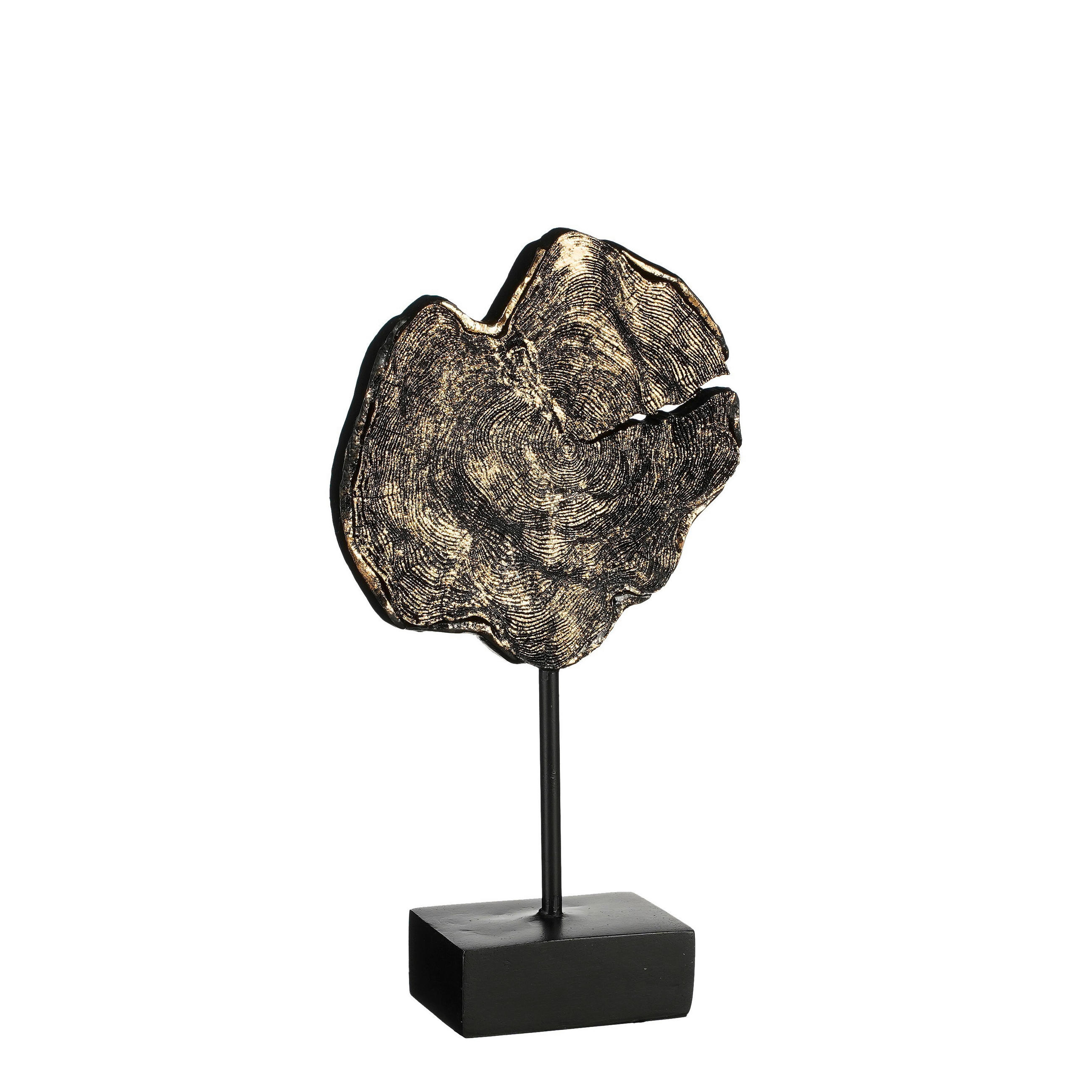 SOCHA - Basics (17/6,5/31cm)