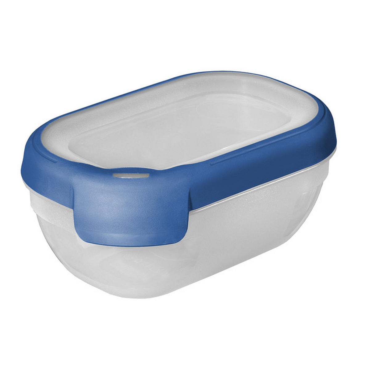 POSUDA ZA ČUVANJE NAMIRNICA  0,5 l   - prozirno/plava, Basics, plastika (15/10/6,5cm) - Curver