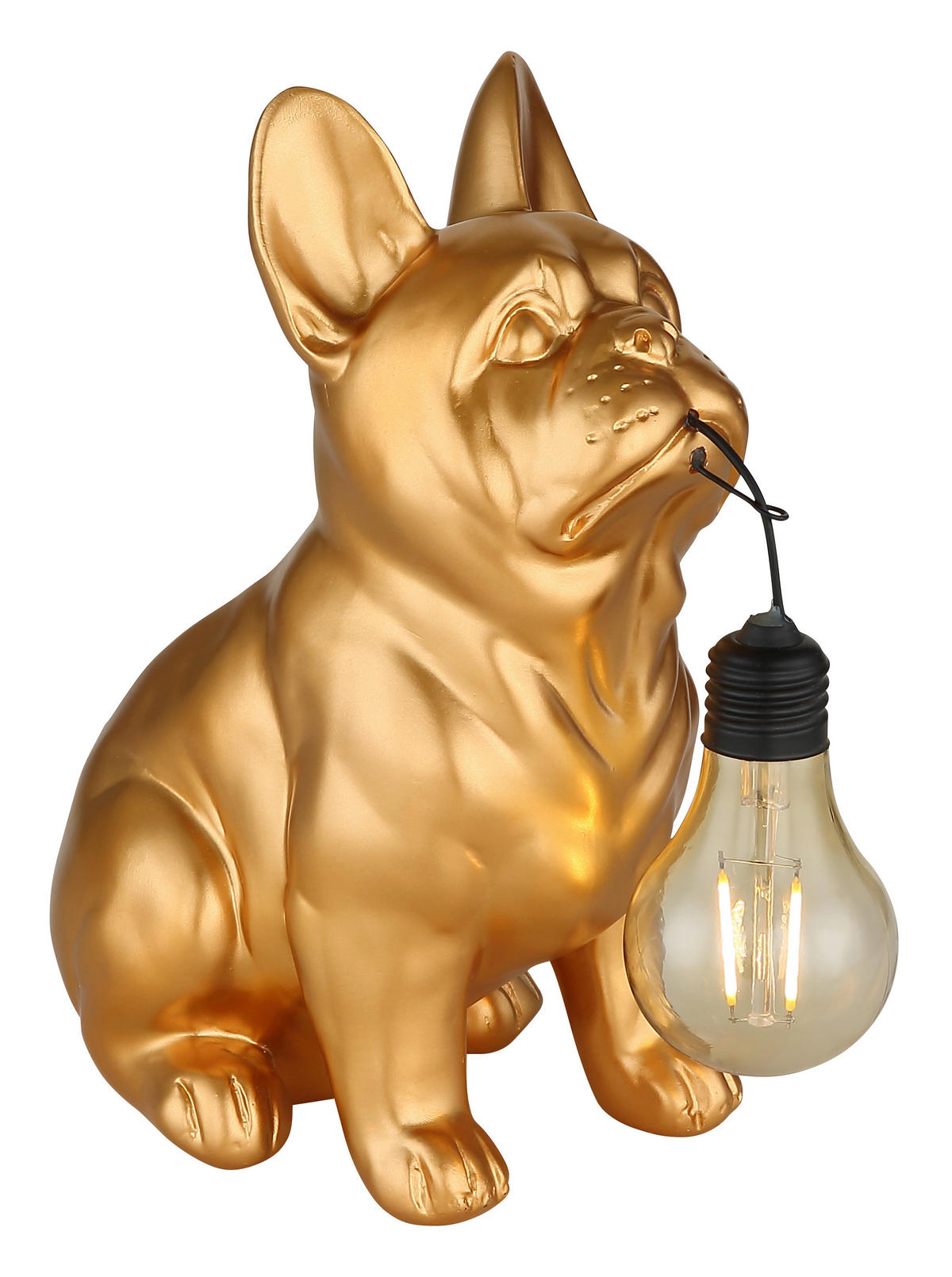 SOLARLEUCHTE Greenday 23/11,8/23,5 cm  - Goldfarben, Design, Kunststoff (23/11,8/23,5cm) - Globo