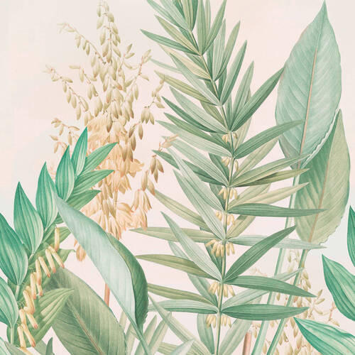 Fototapete Palmlilie