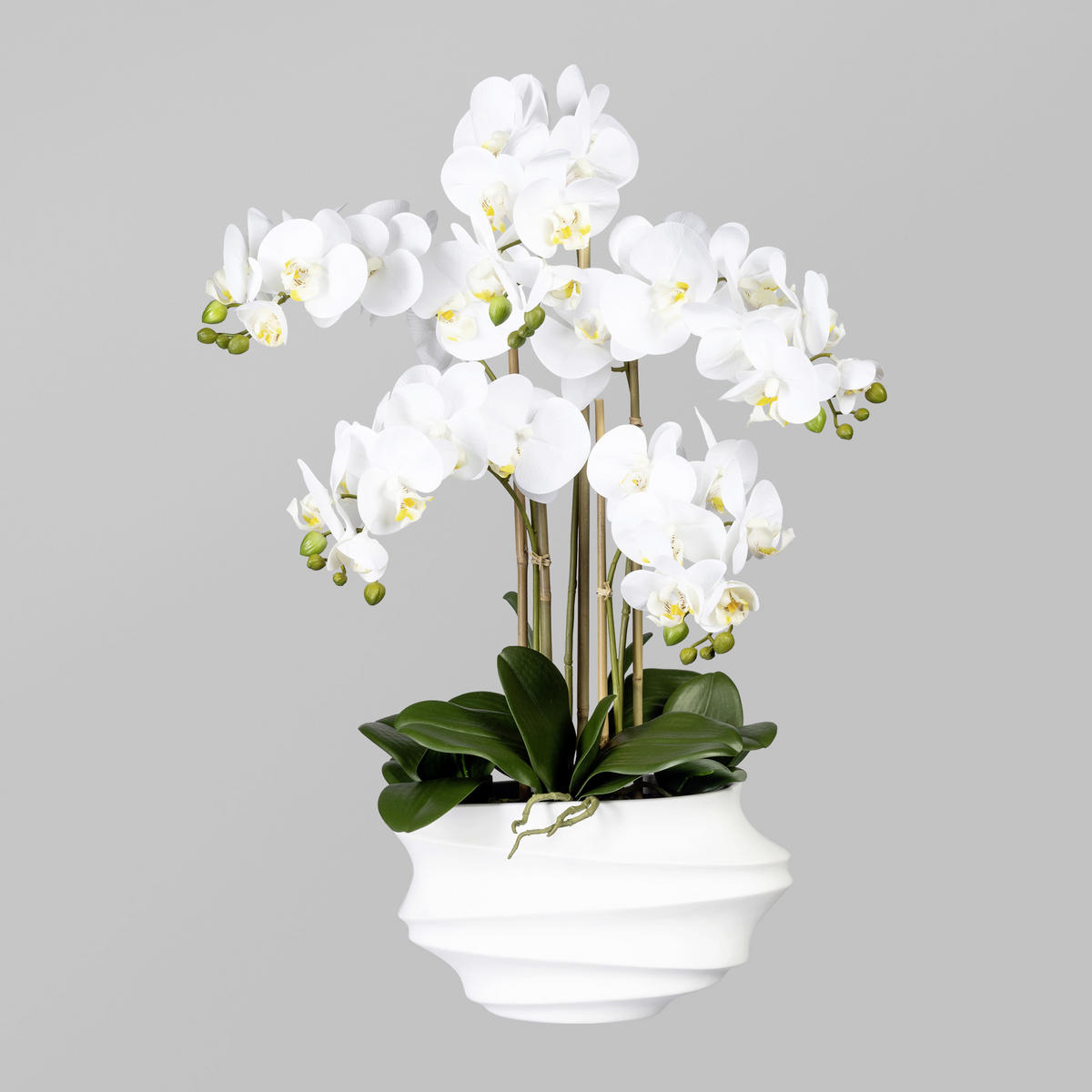 KUNSTBLUME Orchidee  - Weiß/Braun, Trend, Kunststoff (75cm) - P & B