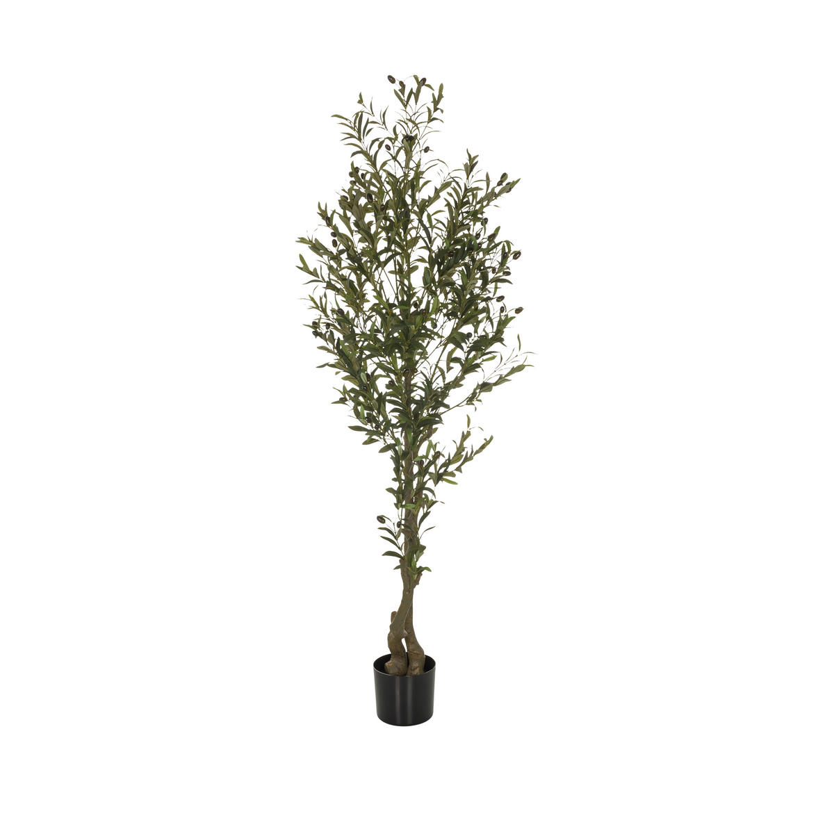 KUNSTPFLANZE Olive  - Schwarz/Braun, Basics, Kunststoff (50/172/50cm) - MID.YOU