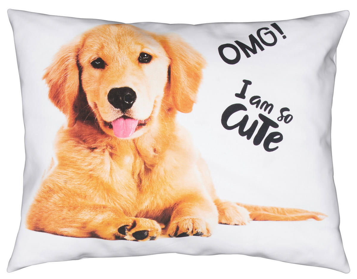 DJEČJA POSTELJINA 140/200 cm  DOG  - višebojno, Konvencionalno, tekstil (140/200cm)