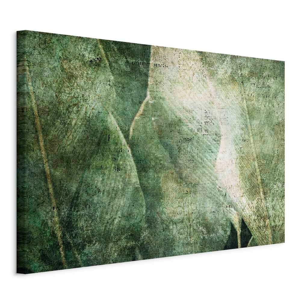 artgeist LEINWANDBILD, abstraktní, listy, 90/60/1,2 cm