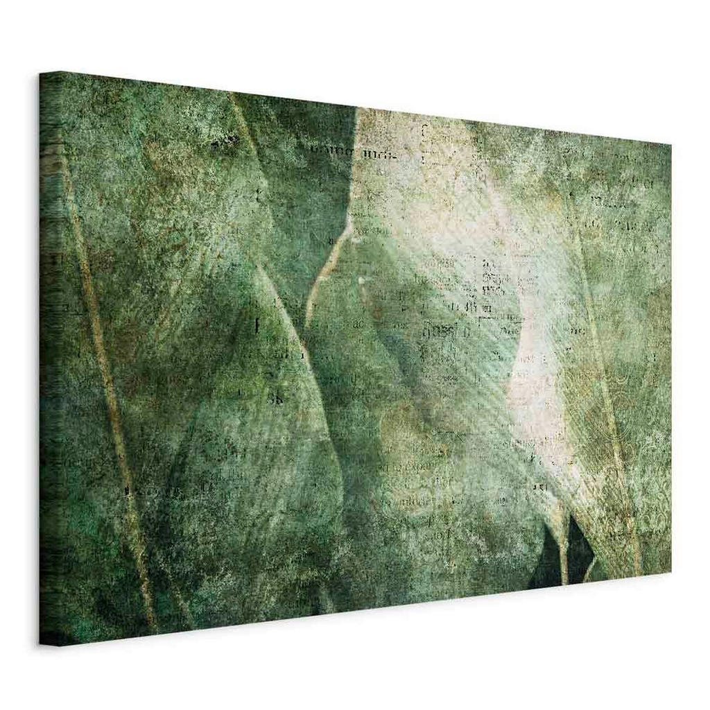 artgeist LEINWANDBILD, abstraktní, listy, 60/40/1,2 cm