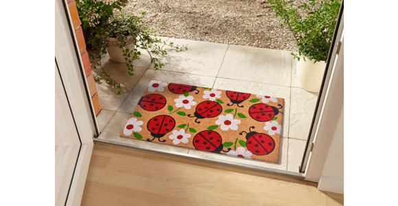 KOKOSMATTE 45/75 cm Mix Mats - Hellbraun/Multicolor, Basics, Naturmaterialien/Kunststoff (45/75cm) - Esposa