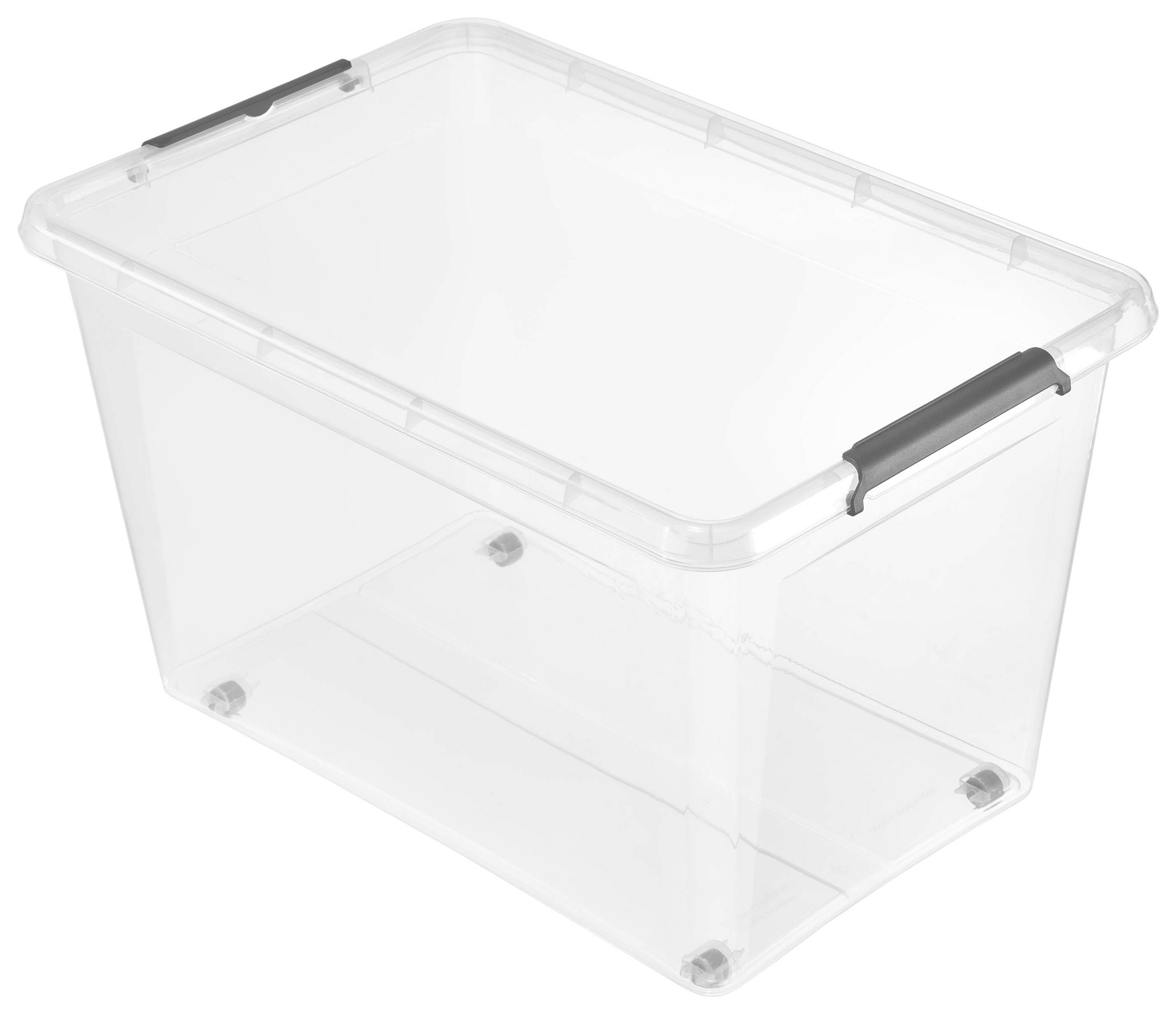 BOX MIT Deckel 58/39/35 cm