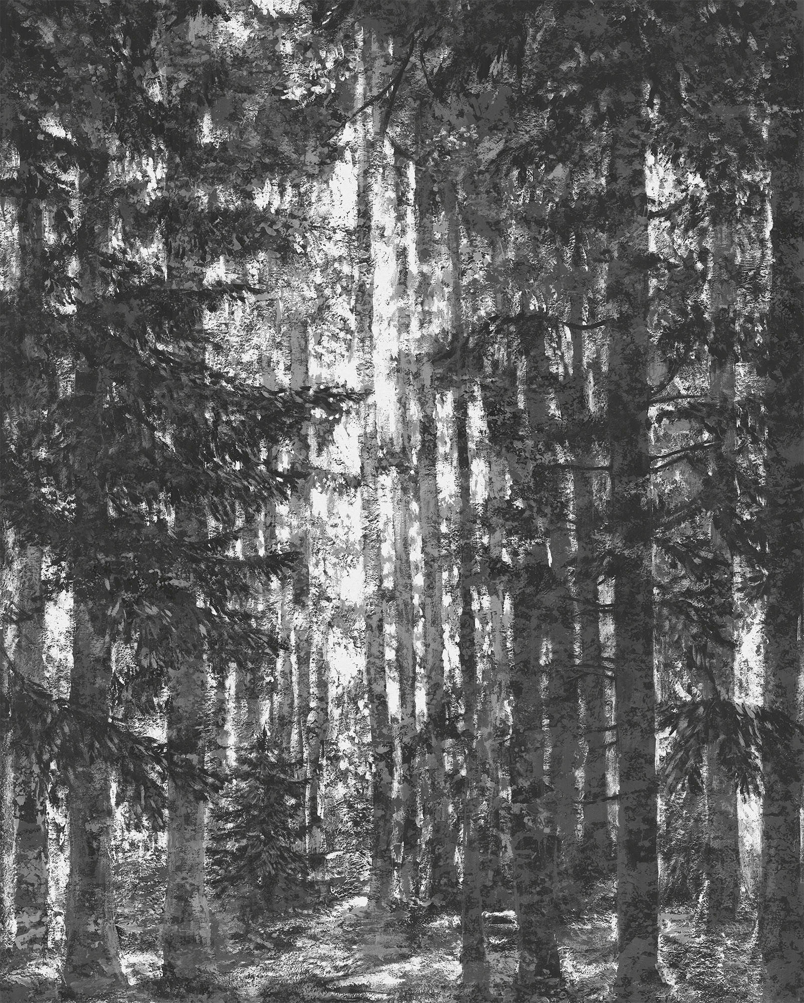 VLIESTAPETE - Schwarz/Weiß, Basics (200/250cm) - Xora