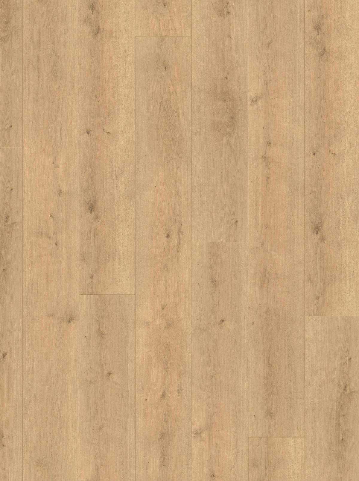 DESIGNBODEN Modular ONE  per  m² - Eichefarben, Design, Holz (220/23.5/0,8cm) - Parador