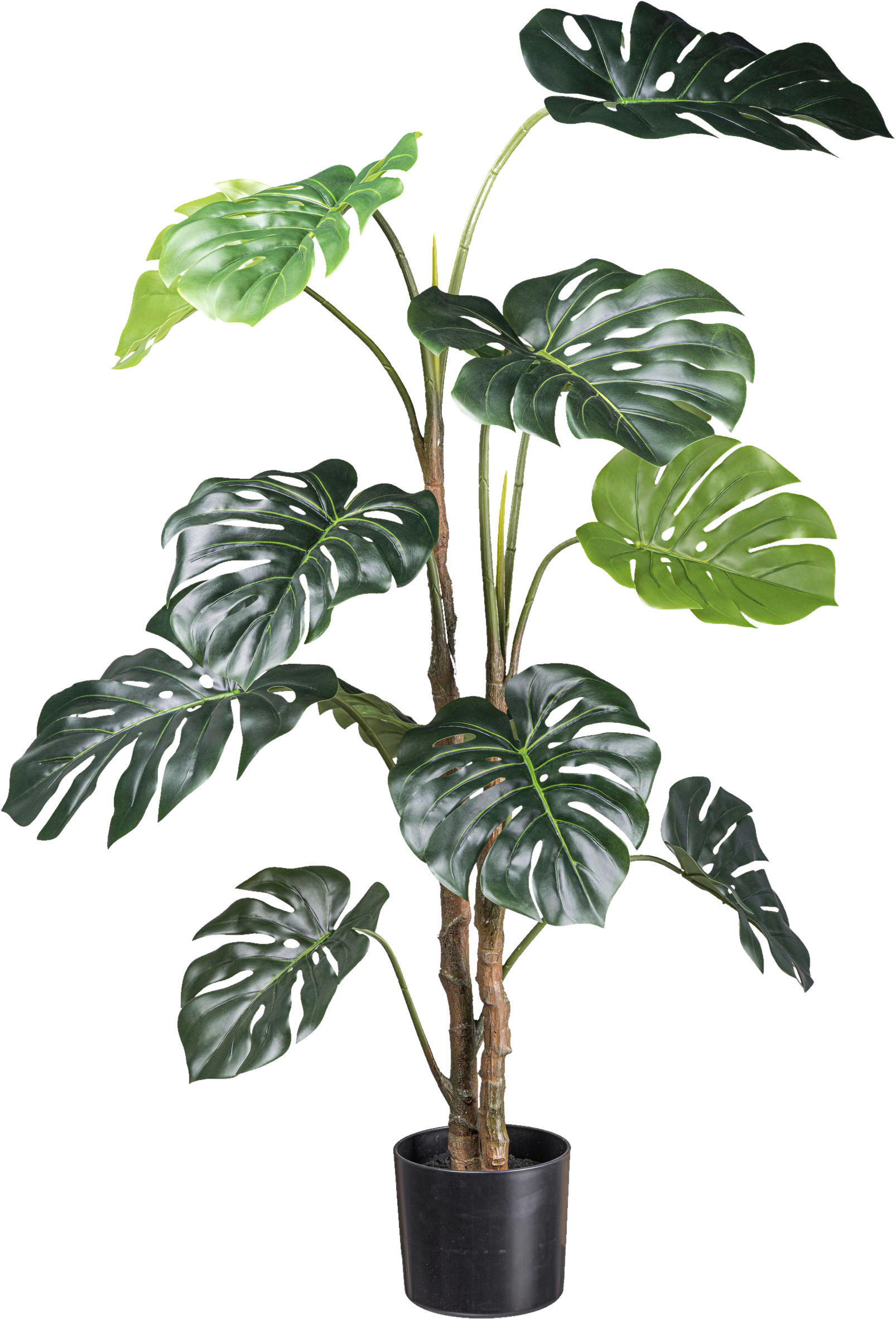 KUNSTPFLANZE Split Philodendron 140 cm - Schwarz/Braun, Design, Kunststoff (140cm) - P & B