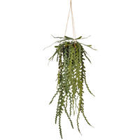 KUNSTPFLANZE Sukkulente 91 cm  - Schwarz/Grün, Basics, Kunststoff (91cm)
