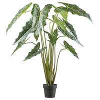 KUNSTPFLANZE 160 cm  - Schwarz/Grün, Design, Kunststoff (160cm) - P & B