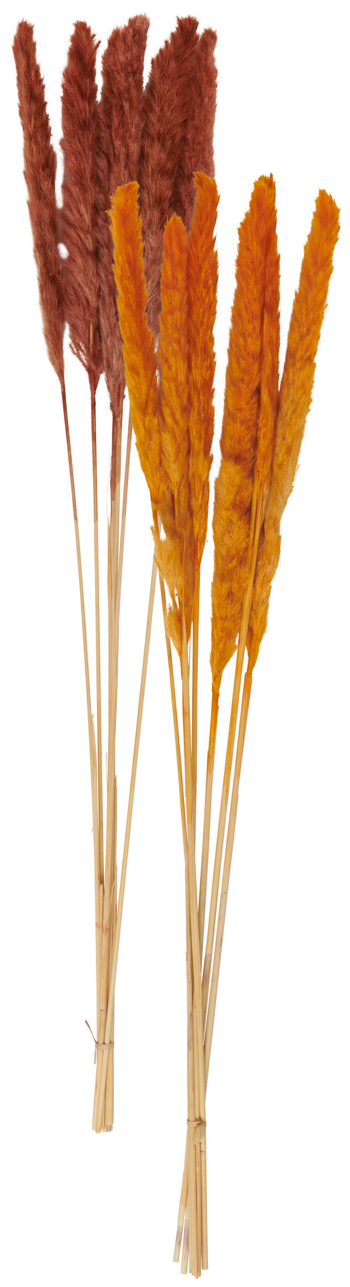 DEKOZWEIG - Braun/Orange, KONVENTIONELL, Naturmaterialien (16/3/85cm)