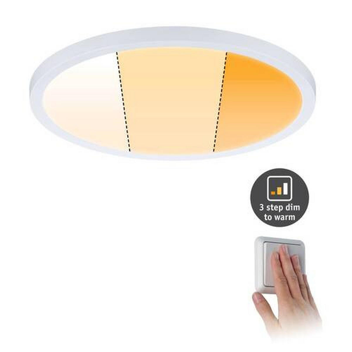 LED-PANEEL 23,0 cm  - Weiß, Basics, Kunststoff (23,0cm) - Paulmann