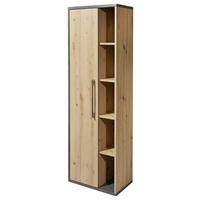 DULAP ÎNALT 50/160/31 cm  - culoare crom/stejar Artisan, Konventionell, plastic/material pe bază de lemn (50/160/31cm) - Xora