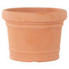 PFLANZENTOPF   - Terracotta, Basics, Kunststoff (70/52cm) - Siena Garden