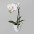 KUNSTBLUME Orchidee - Weiß/Grün, LIFESTYLE, Kunststoff/Metall (36cm)