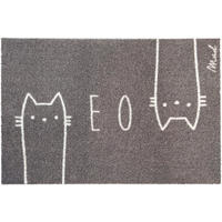 FUSSMATTE 50/75 cm Scraper  - Grau, Trend, Kunststoff (50/75cm) - madaboutmats