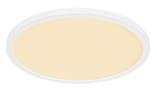 LED-BADEZIMMER-DECKENLEUCHTE Sapana 29,4/2,5 cm - Opal/Weiß, Basics, Kunststoff (29,4/2,5cm) - Globo