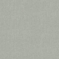 VLIESTAPETE - Grau, Basics, Papier/Kunststoff (52/1000cm)