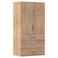 DREHTÜRENSCHRANK 101/197/60 cm 2-türig Eichefarben  - Eichefarben/Silberfarben, Design, Holzwerkstoff/Kunststoff (101/197/60cm) - Novel