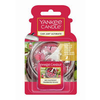 OSVEŽILEC ZRAKA ZA AVTO Red Raspberry  - pink, Basics (4/6/2,5cm) - Yankee Candle
