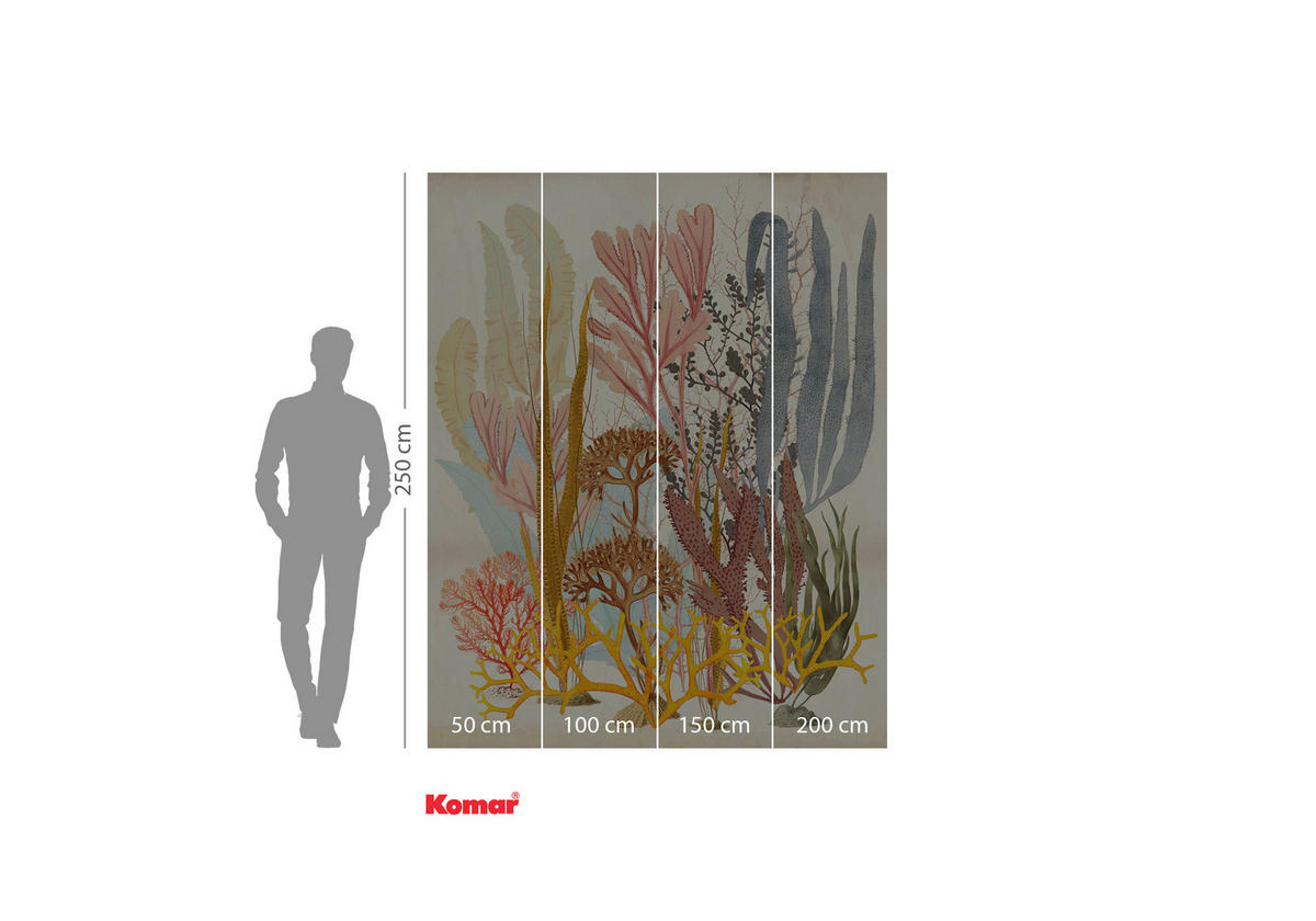 NON WOVEN-TAPET 200/250 cm  - multicolor, Basics (200/250cm) - Komar