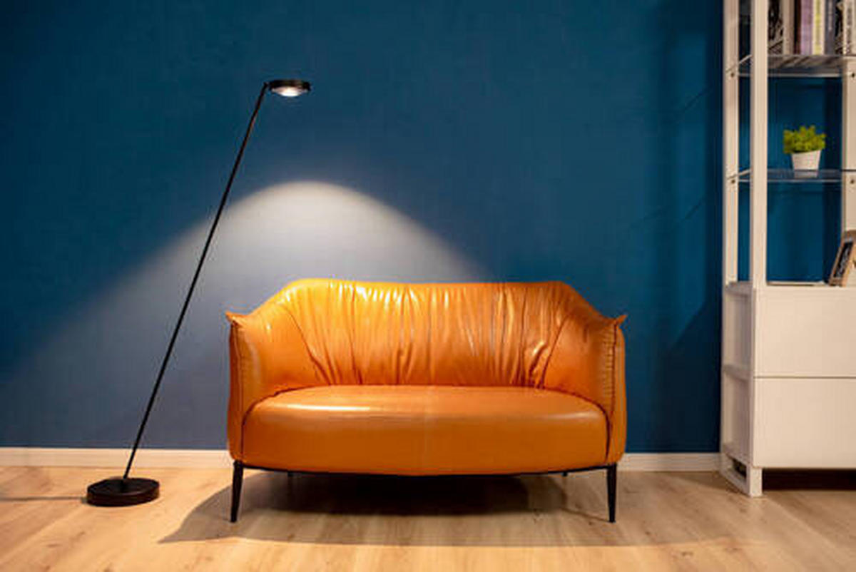 LED-STEHLEUCHTE 28,2/25/160 cm    - Schwarz, Design, Metall (28,2/25/160cm)
