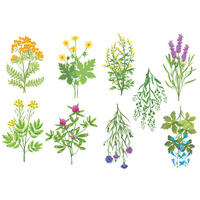 SAMOLEPKA NA ZEĎ - vícebarevná, Natur, plast (25/35cm) - Euroart