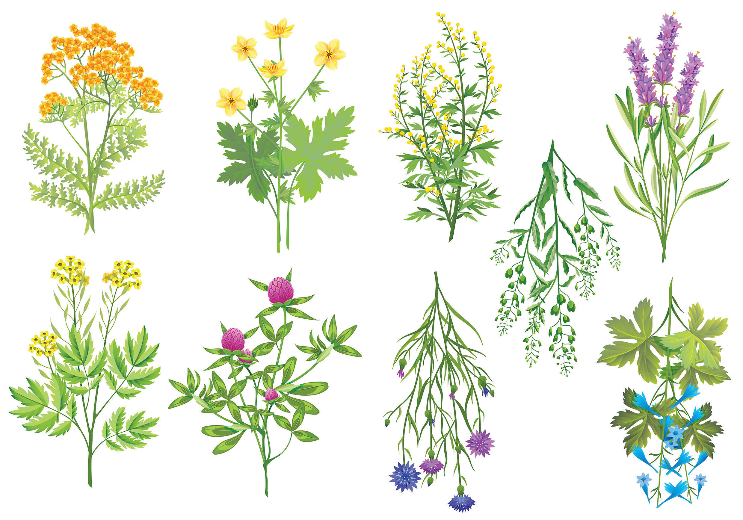 Euroart SAMOLEPKA NA ZEĎ