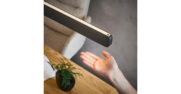 LED-HÄNGELEUCHTE 110/9/60-180 cm - Anthrazit/Schwarz, Basics, Kunststoff/Metall (110/9/60-180cm) - Novel