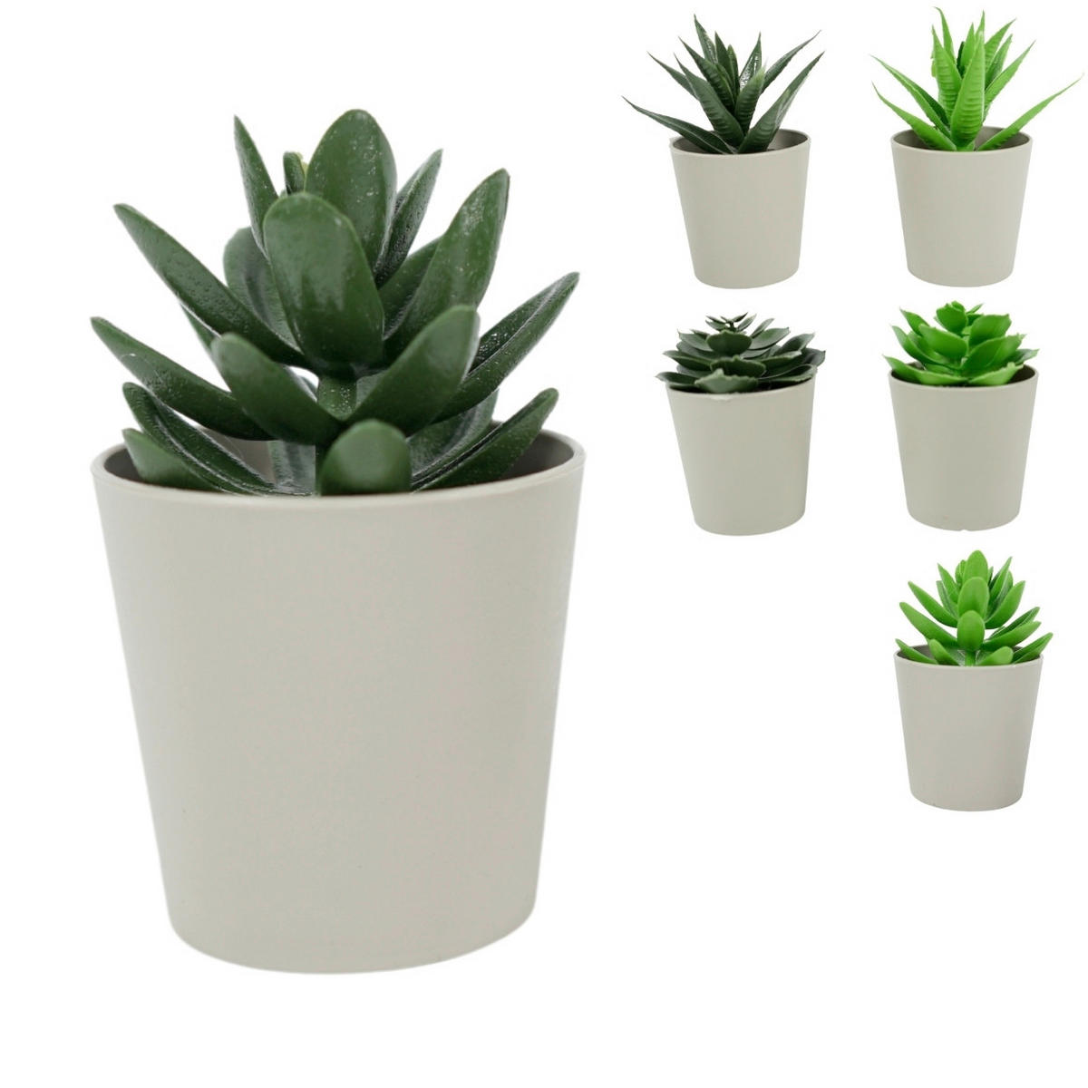 CVIJET UMJETNI  - zelena/bež, Basics, plastika (6,5/6,5/10cm)