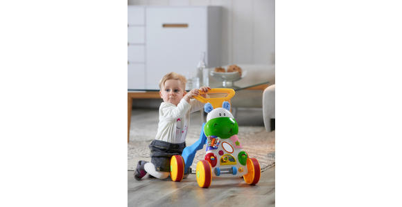 LAUFLERNWAGEN - Multicolor, Basics, Kunststoff (40/39/46,5cm) - My Baby Lou
