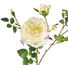 KUNSTBLUME - Pink/Creme, Basics, Kunststoff/Textil (60cm) KUNSTBLUME - Pink/Creme, Basics, Kunststoff/Textil (60cm)