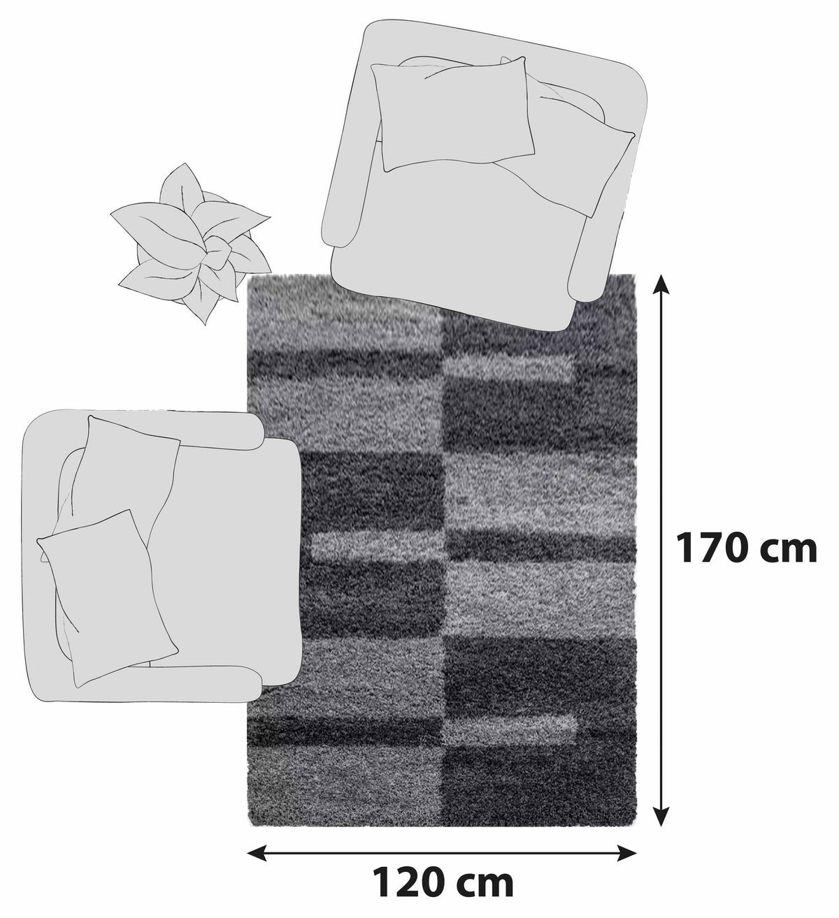 HOCHFLORTEPPICH 120/170 cm Gala 2505 Grau  - Grau, Design, Textil (120/170cm) - Novel