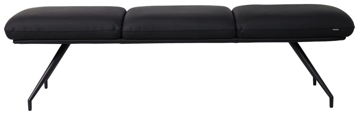 SITZBANK 180/49,5/50 cm  in Schwarz  - Schwarz, Design, Leder/Metall (180/49,5/50cm) - Dieter Knoll