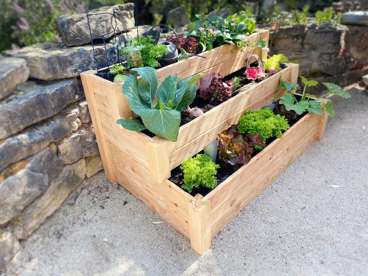 HOCHBEET  - Lärchefarben, Basics, Holz (76/64/120cm) - Ambia Garden