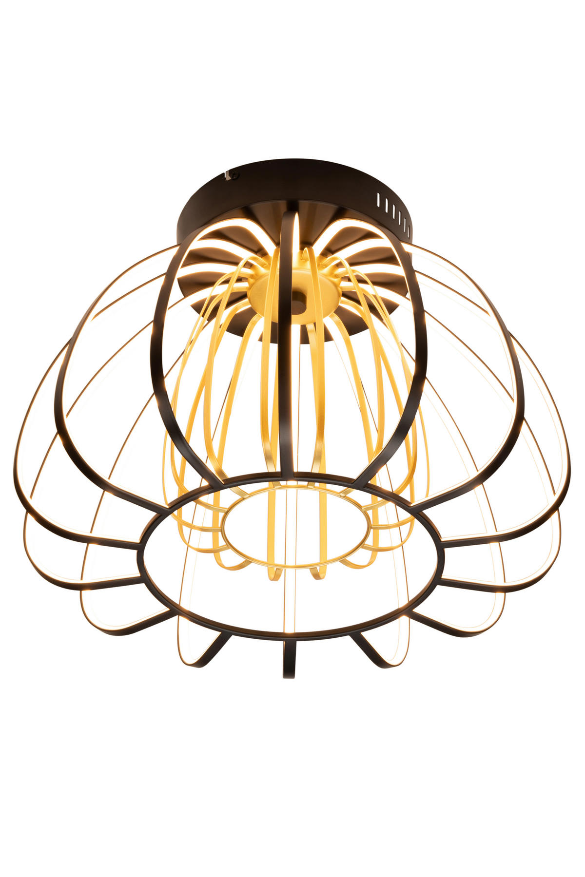 STROPNÍ LED SVÍTIDLO, 44,5/33 cm  - černá/barvy zlata, Design, kov/plast (44,5/33cm) - Novel