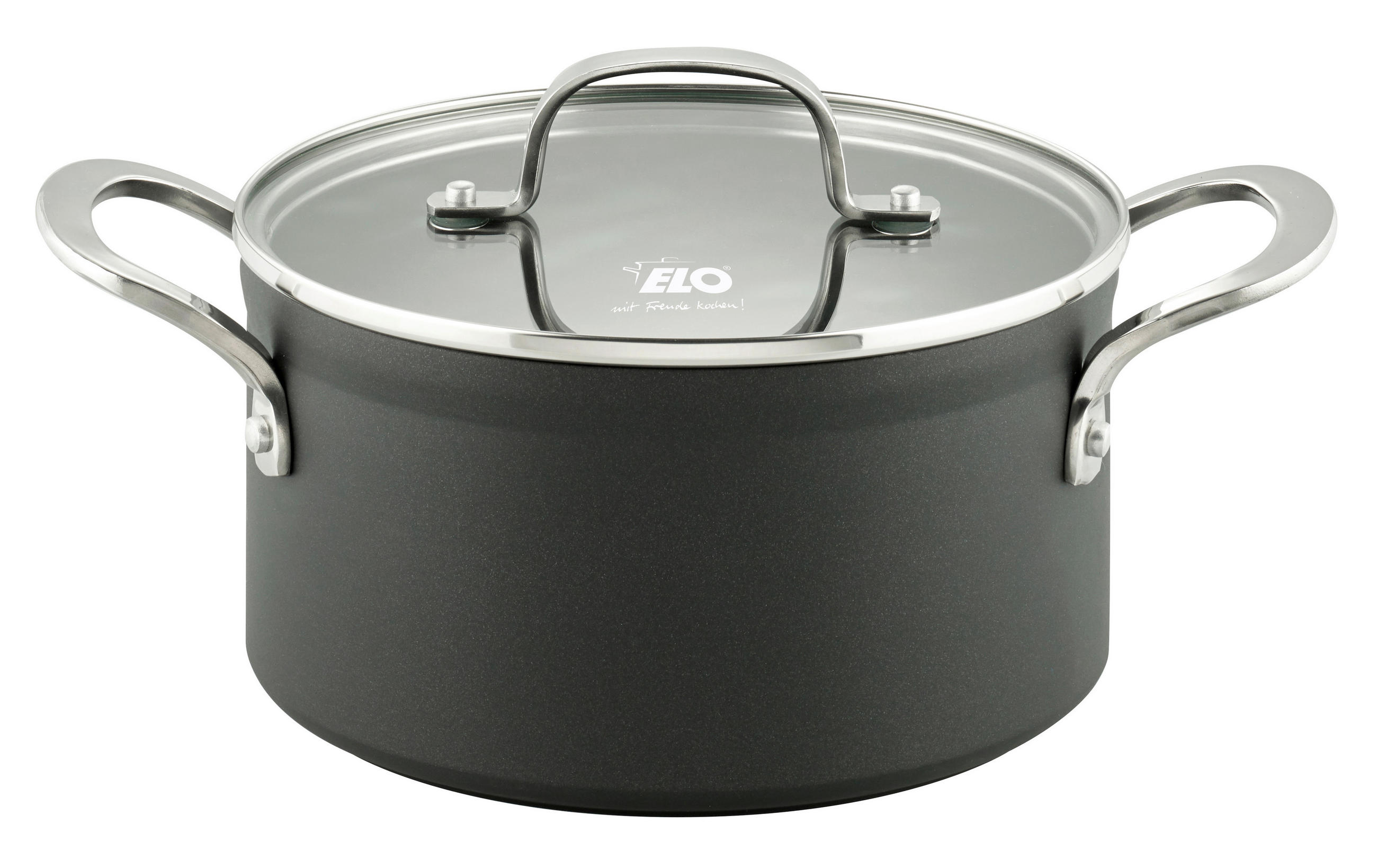 KOCHTOPF Silver Cast 2,8 L  - Transparent/Schwarz, Basics, Glas/Metall (20cm) - ELO