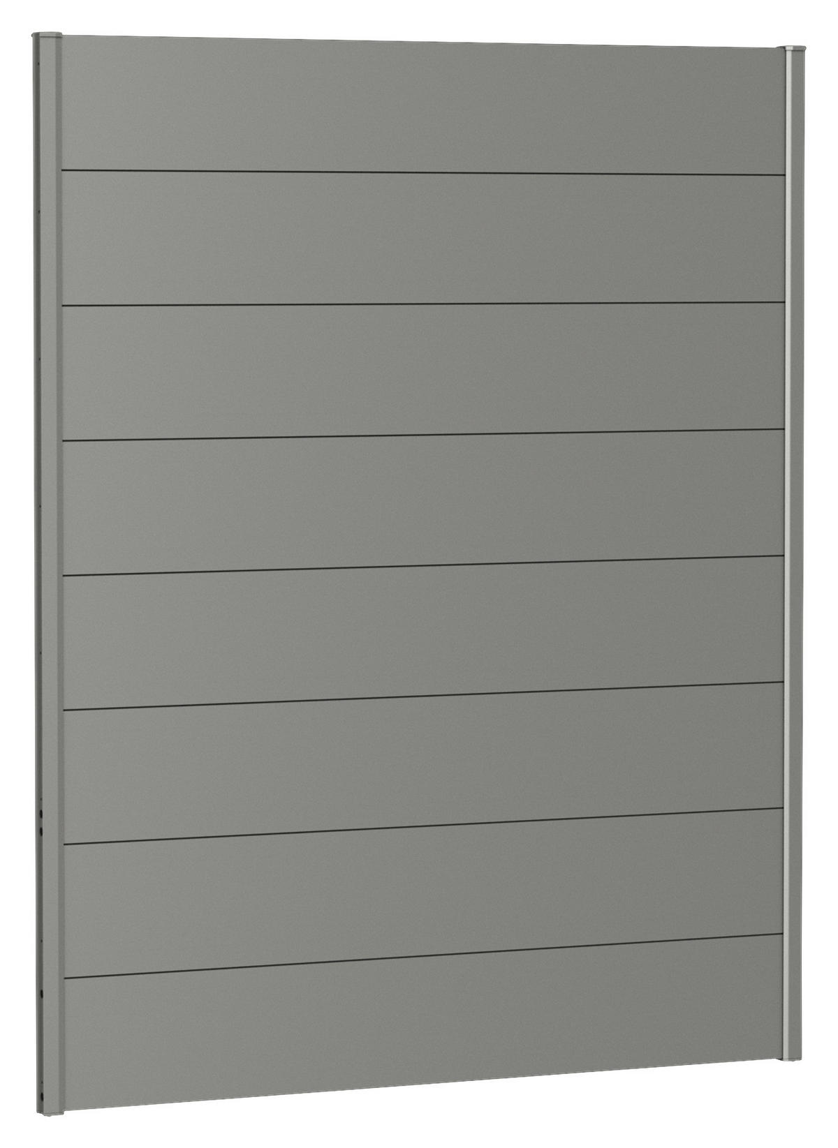 SICHTSCHUTZ - Grau, Basics, Metall (145/182/4,4cm) - Biohort